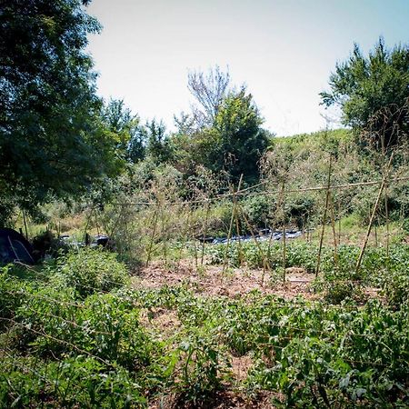 Tente En Permaculture Pirate Creysse  Bagian luar foto