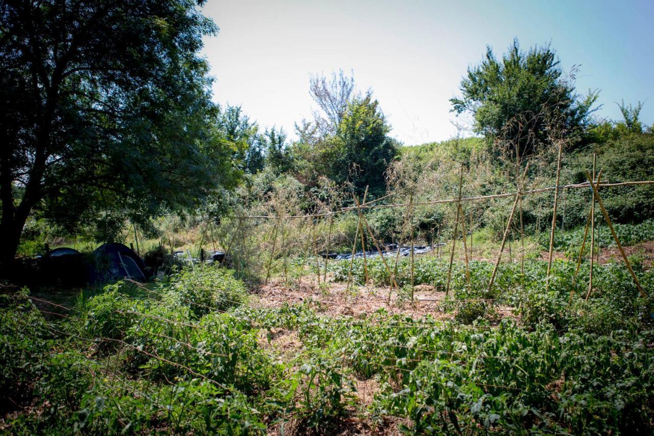 Tente En Permaculture Pirate Creysse  Bagian luar foto